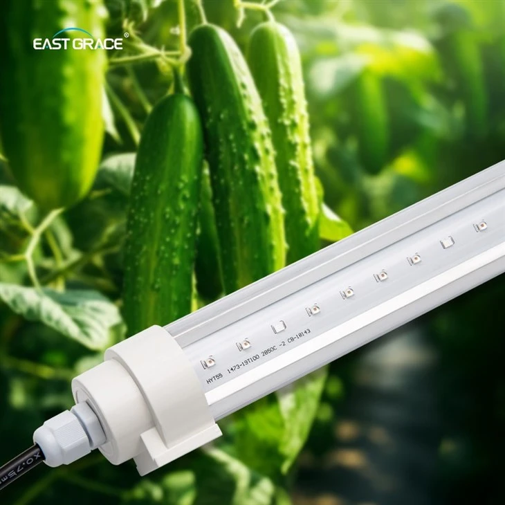 200LEDs Interlighting Plant LED Grow Light price