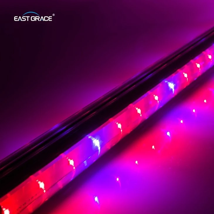 200LEDs Interlighting Plant LED Grow Light best