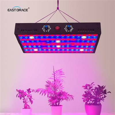 Panneau lumineux de croissance LED à double canal 150 LED