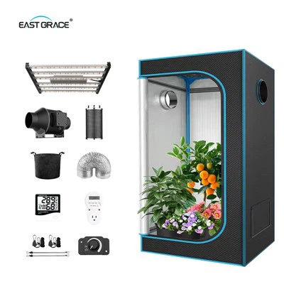 Est-il possible de cultiver des arbres fruitiers dans une tente de culture de 320 W ?